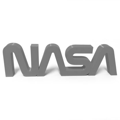 Logo NASA the worm gris (photo)